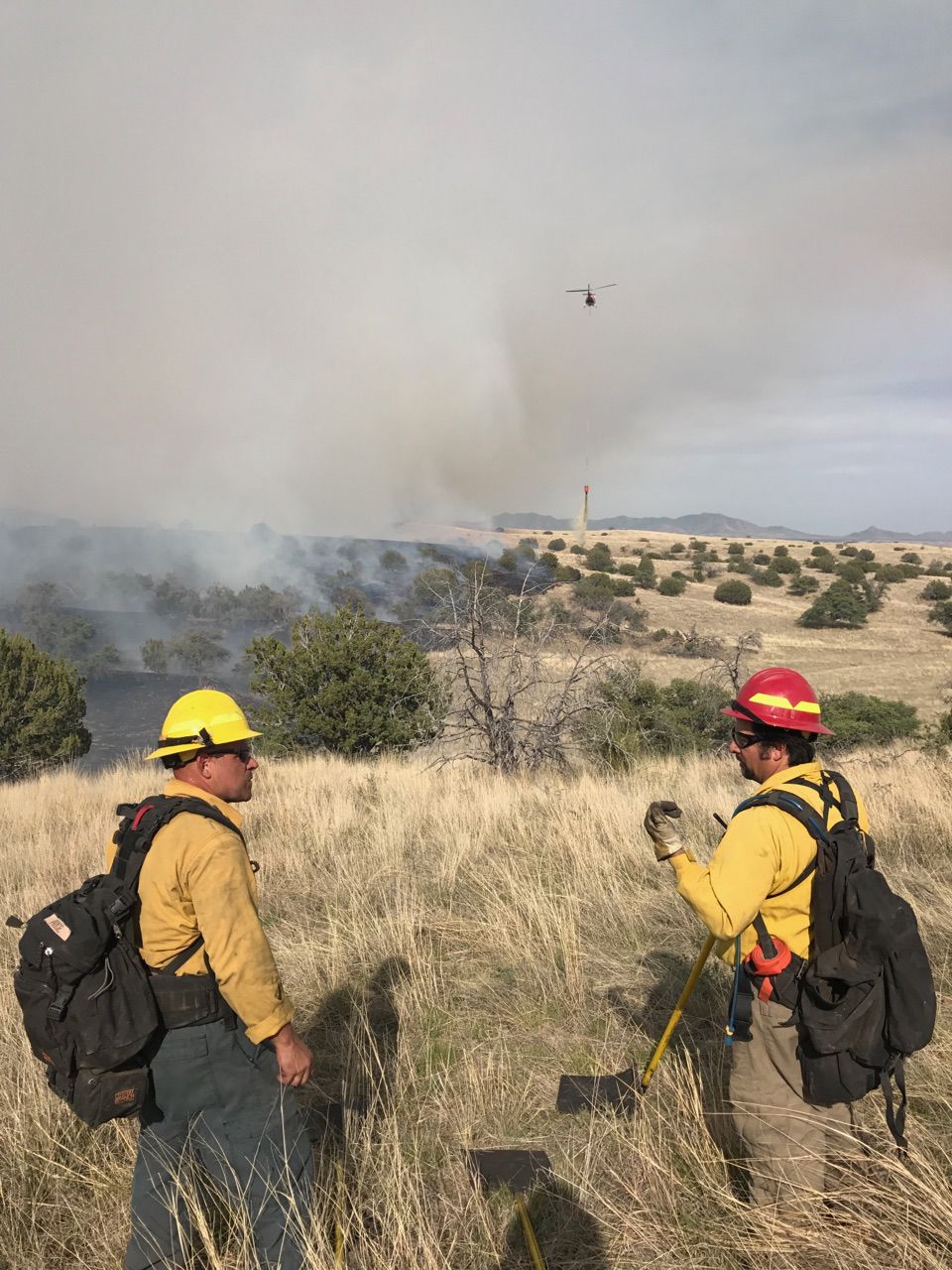 Sources Target shooter sparked Sawmill Fire; 22,000 acres burned so