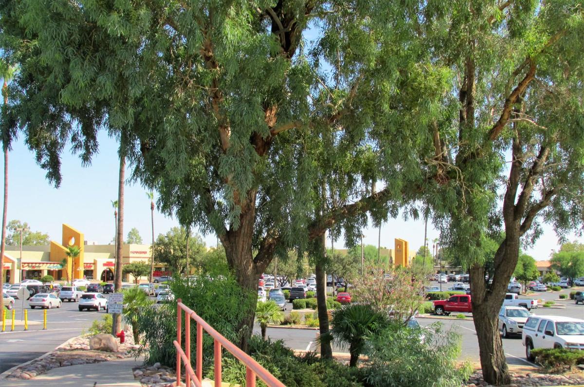 Continental Shopping Plaza
