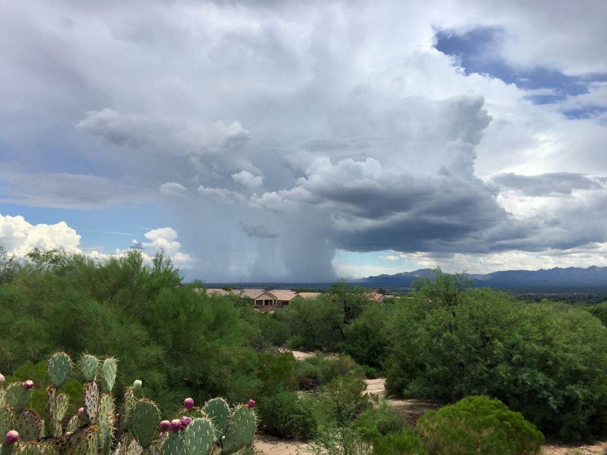 MonsoonSky