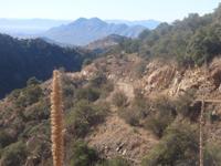 Travels with Two Sisters: A Green Valley legend?