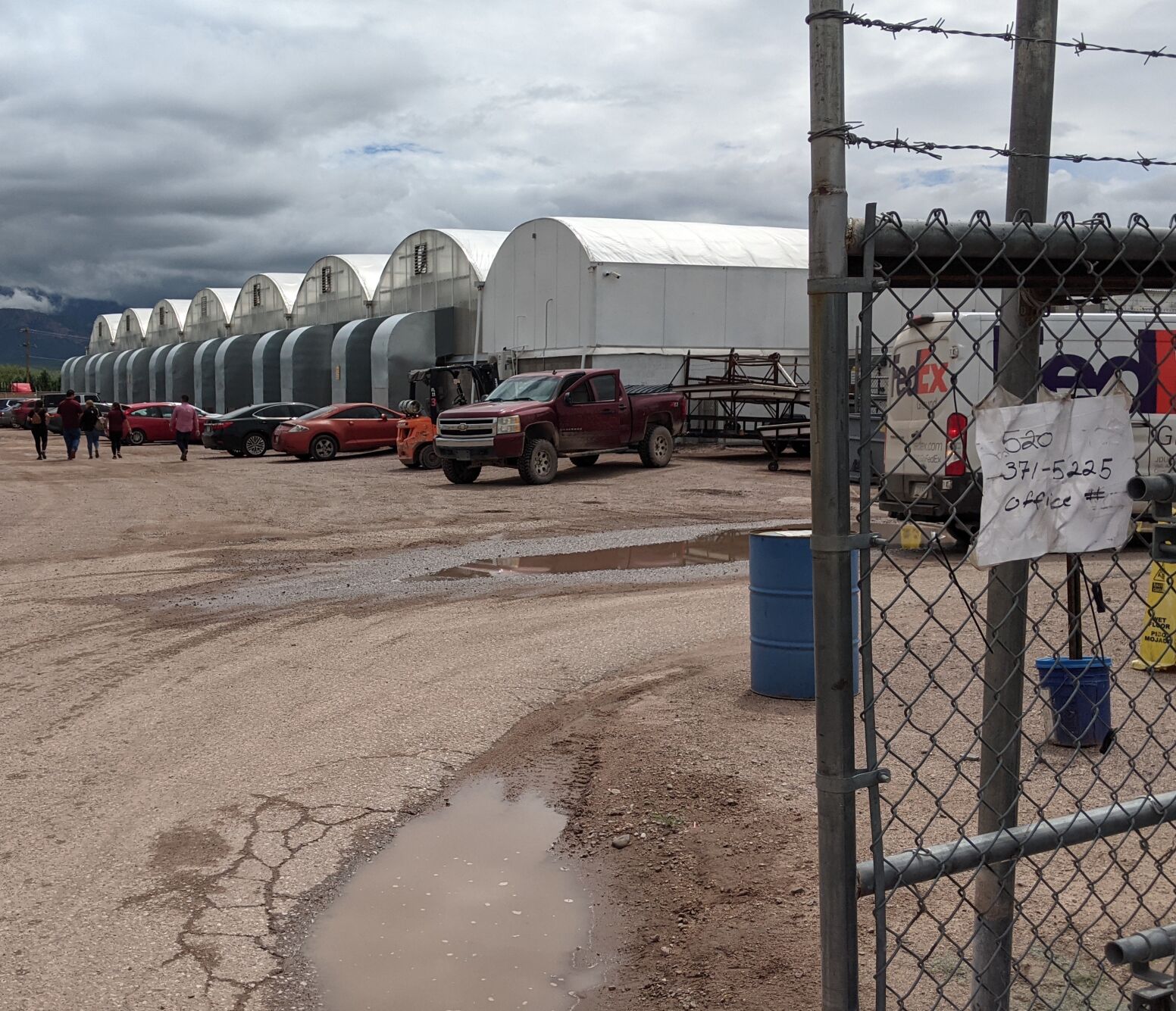 Marijuana grow facility in Amado laying off 103 workers | Local News  Stories | gvnews.com