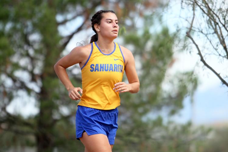 Rio Rico Rattler Invitational | Recreation | gvnews.com