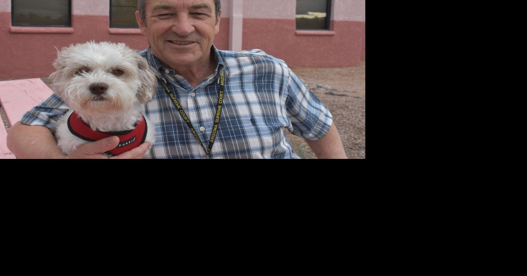 Judge’s latest rescue dog joins courthouse staff
