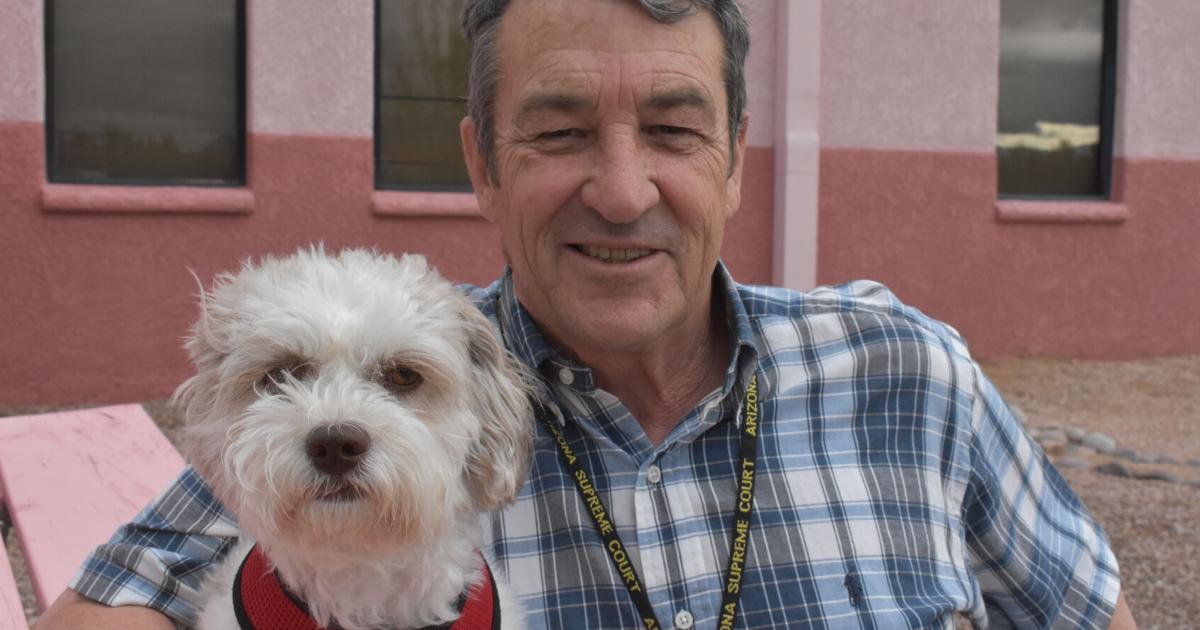 Judge’s latest rescue dog joins courthouse staff