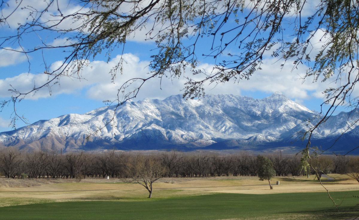 Trees and mountains