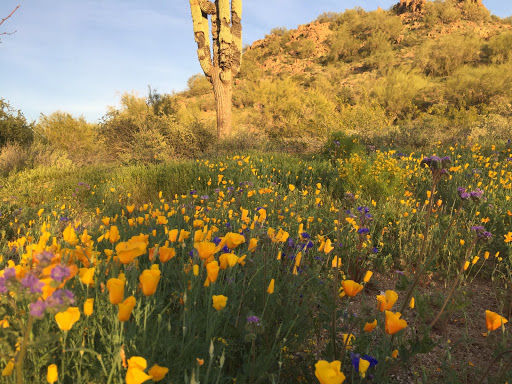Arizona scenery