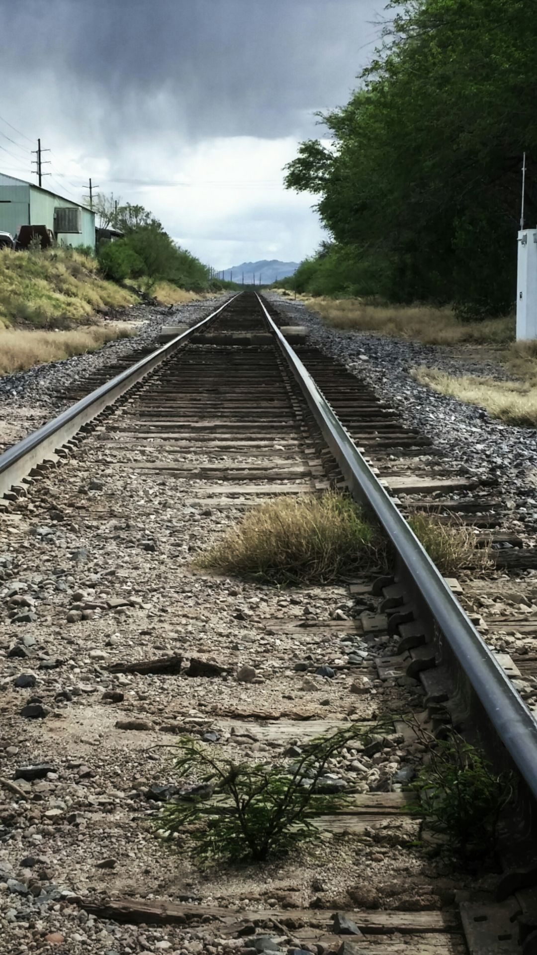 Railroad in Green Valley