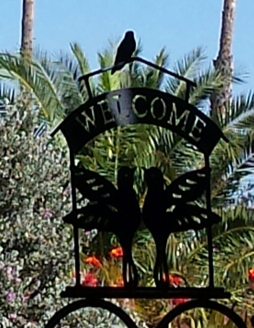 Hummingbirds Welcome