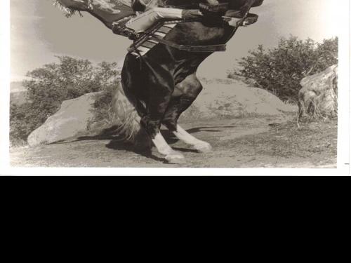 cowboy rex dino hunters