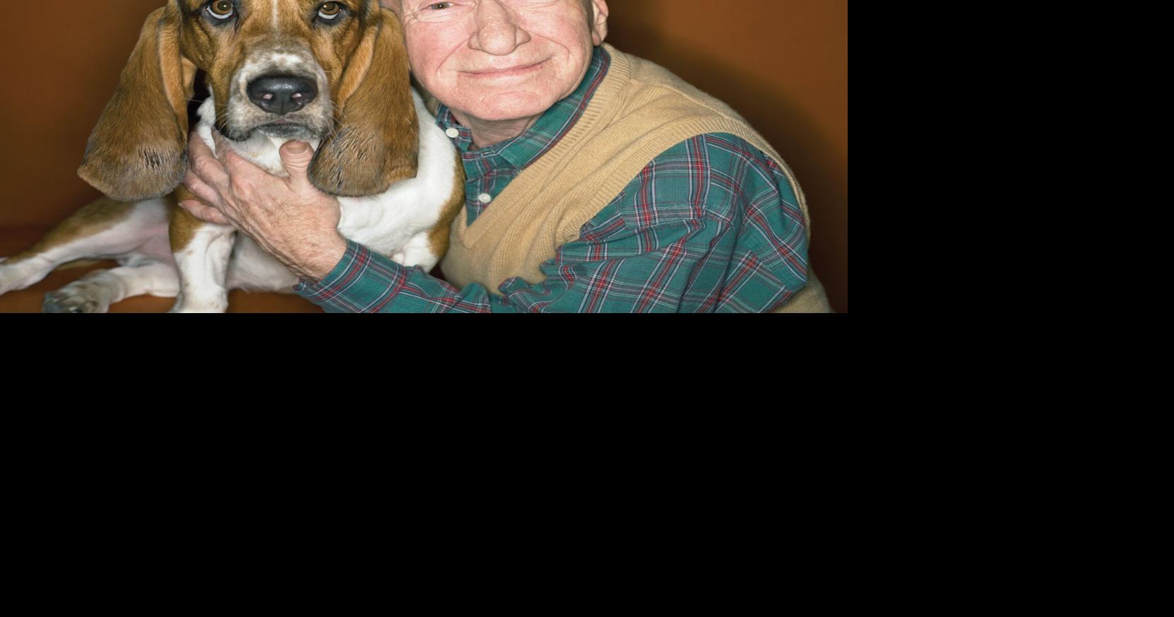 Get a pet! | Embrace - Green Valley News