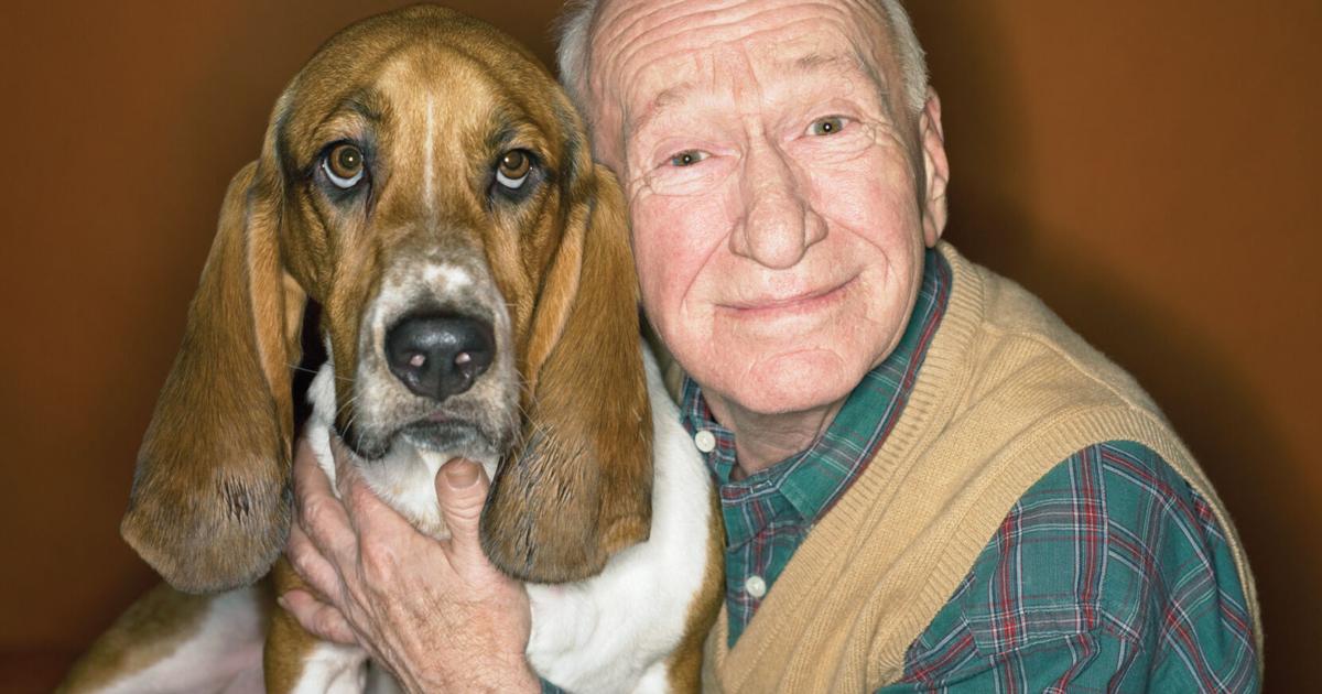 Get a pet! | Embrace - Green Valley News