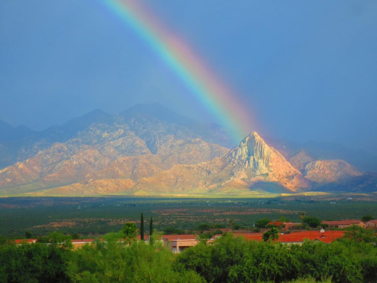 Soaring rainbow
