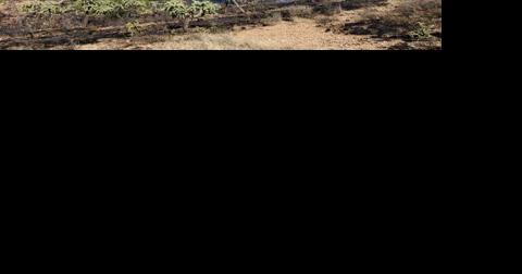 Brush fire burns 106 acres near Arivaca, now fully-contained - Vimarsana News