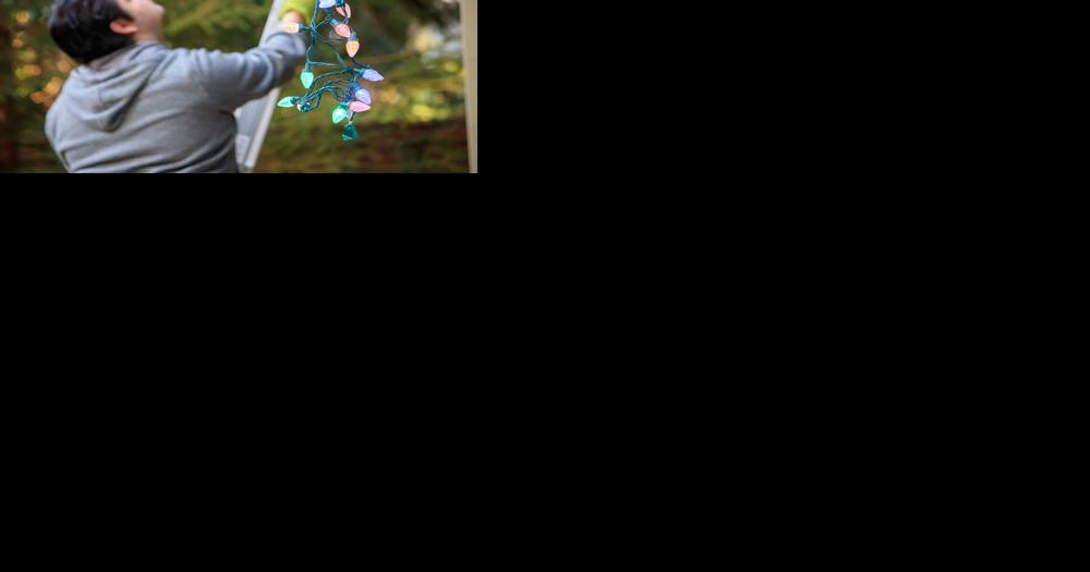 Rosie on the House: Double Dip – Inspect the roof while hanging holiday lights - Vimarsana News