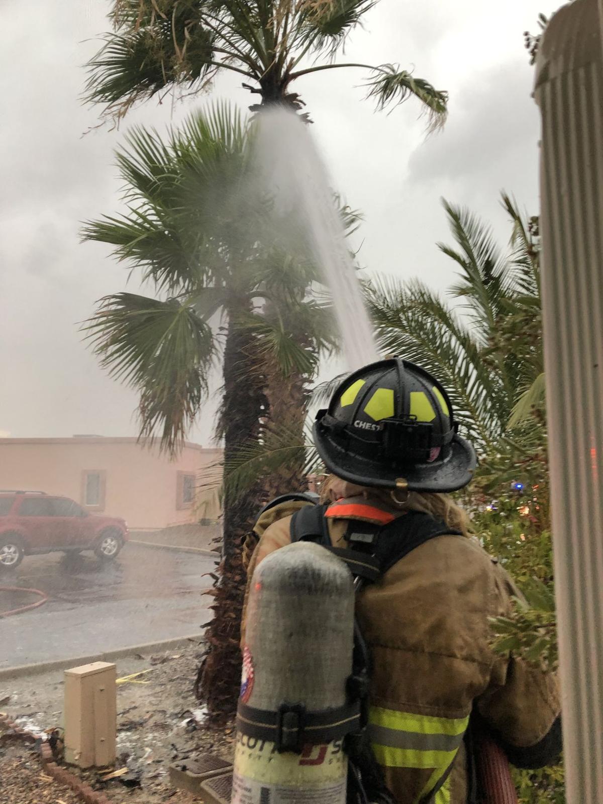 Fire crews called to palm tree fires Local News Stories