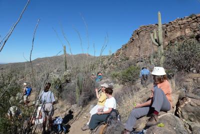 Along Alamo Spring Wild Burro Loop | Get Out | gvnews.com