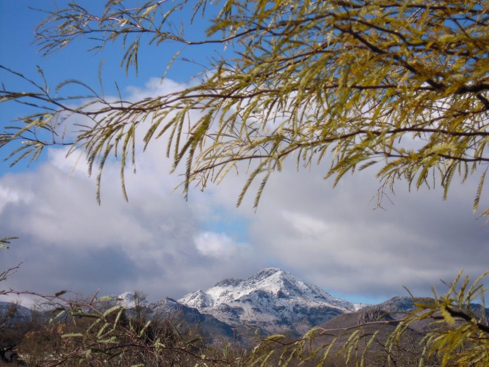 Snow on the mountains