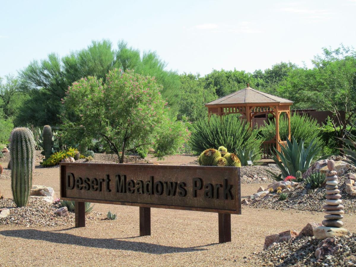 Desert Meadows Park