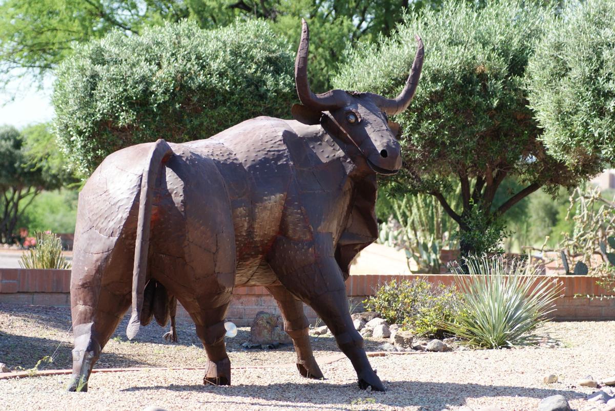 Rusty bull in Green Valley