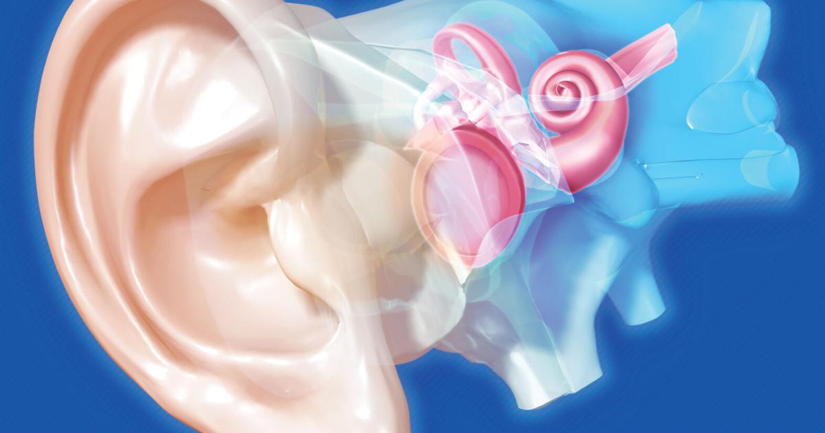 Ear Verification Process Real-Ear Verification: Ensuring the Best Performance from Your Hearing ...