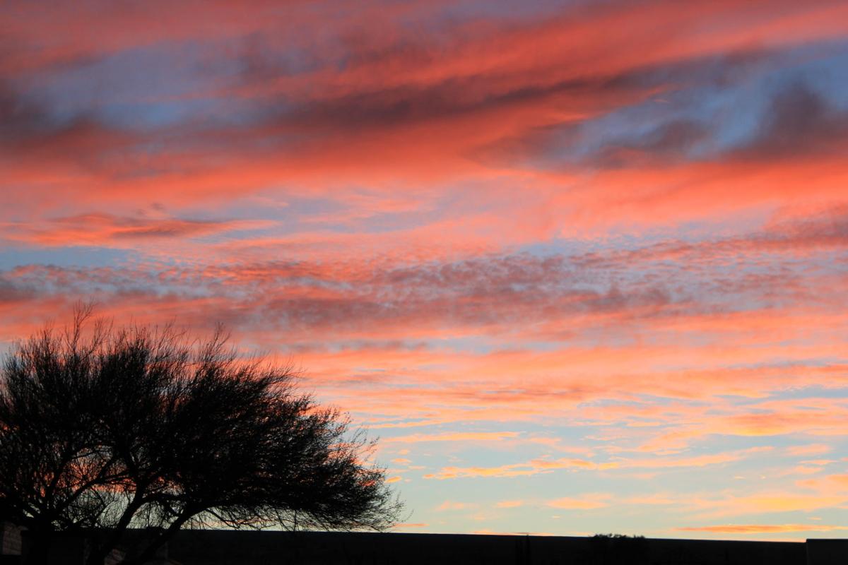 Rosy sunset