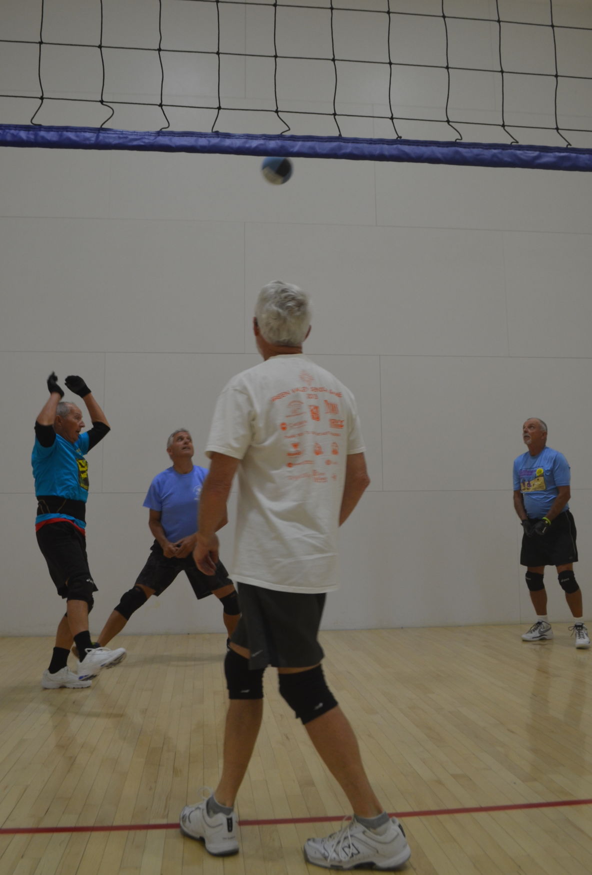 Wallyball