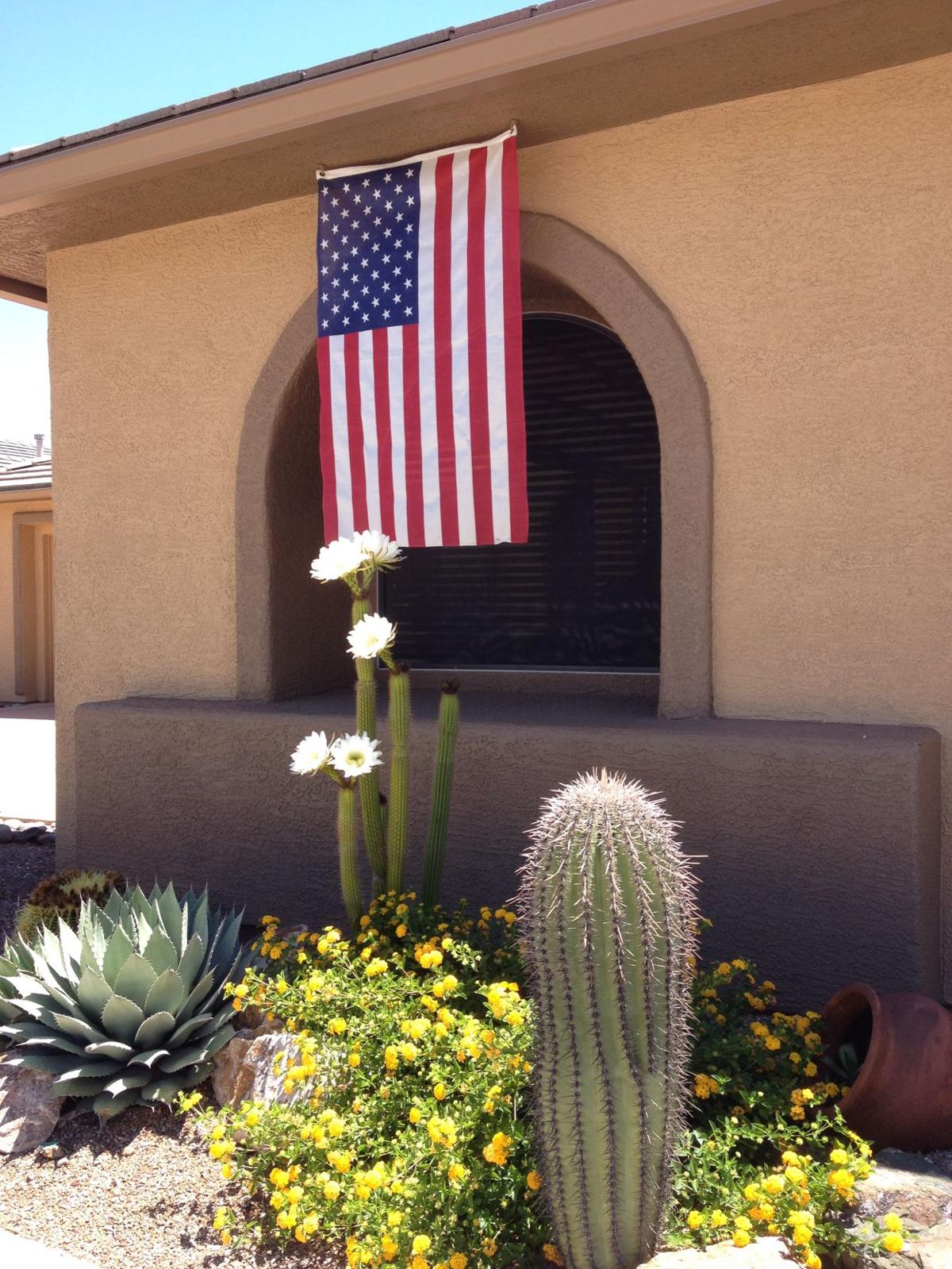 Flag Day