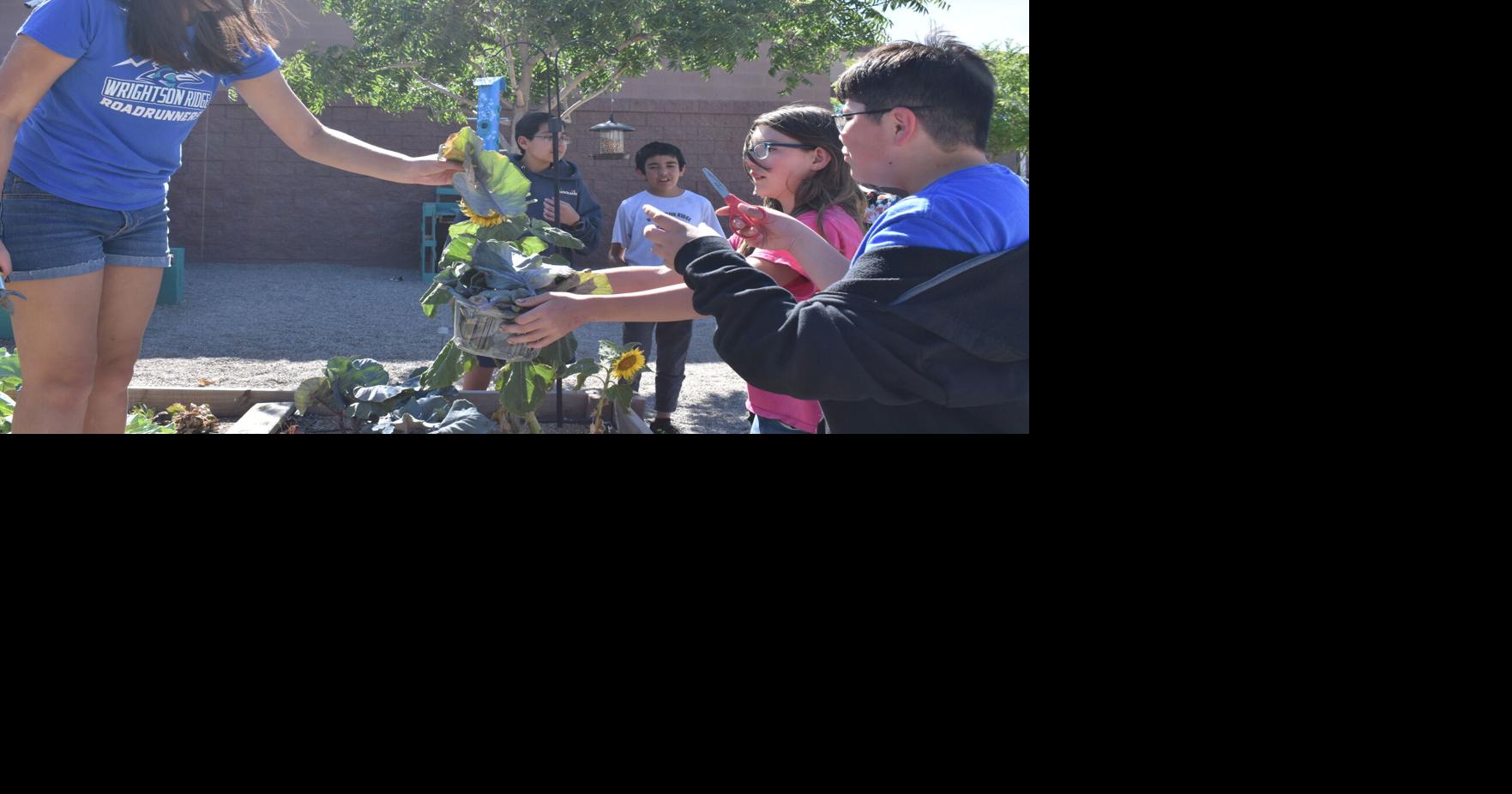 Growing kids: Lots of learning at Wrightson Ridge garden | Local News ...