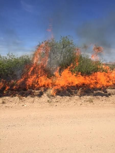 UPDATED: Brush Fire Grows To 1,500 Acres; No Structures Burned | Local ...