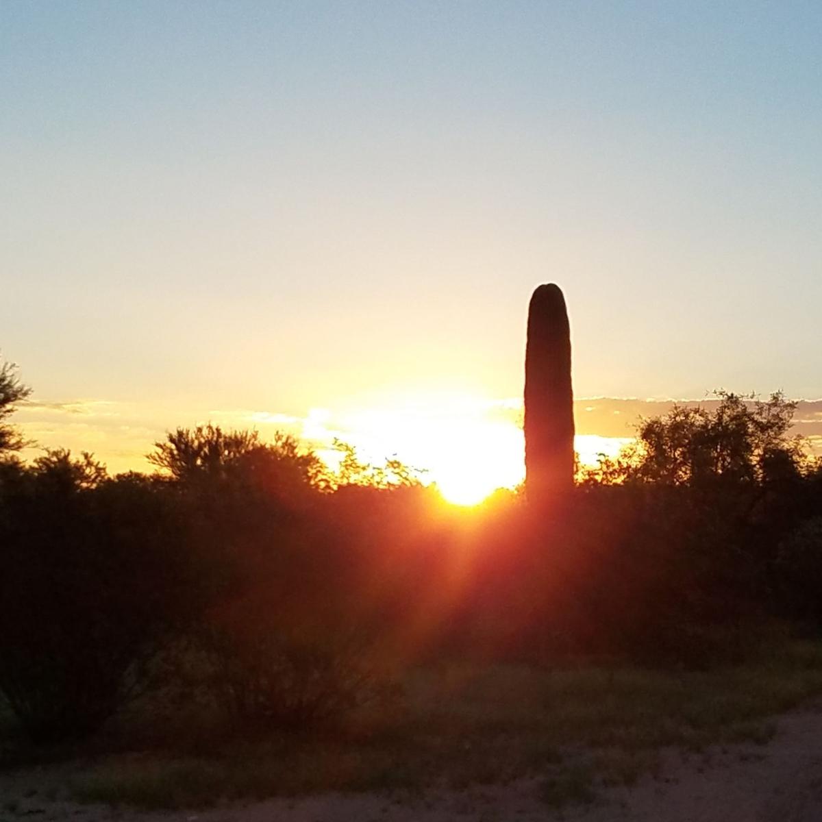 Sunset shadows in the desert