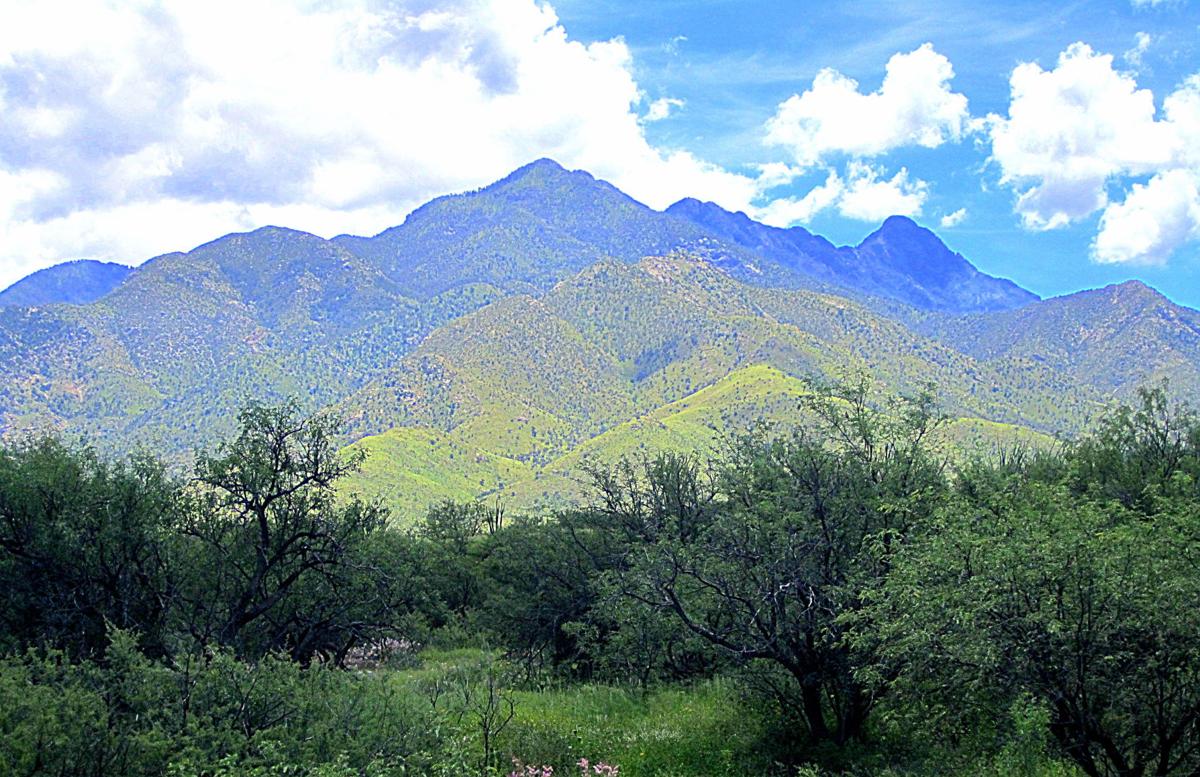 Madera Canyon