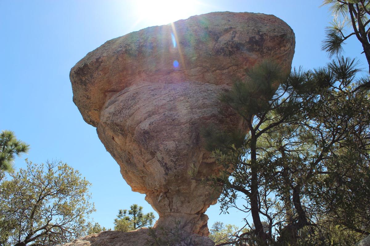 Rose Canyon