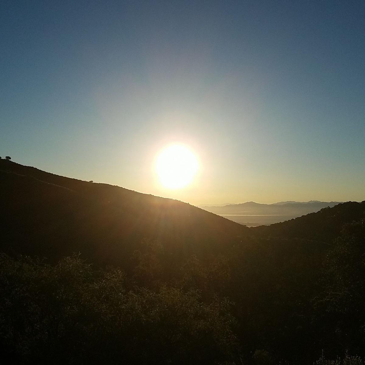 Another sun picture