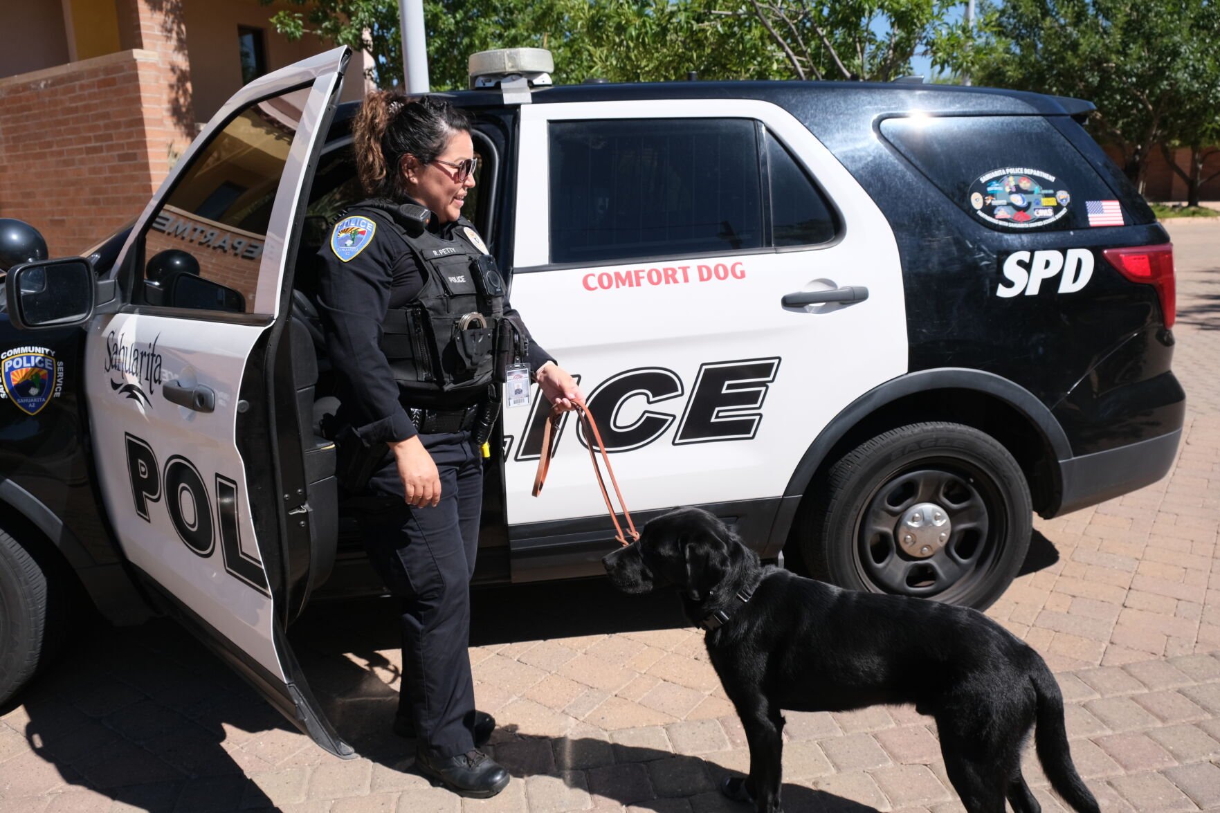 A Real Comfort: New Police Dog's Job Is To Bring Calm | Local News ...