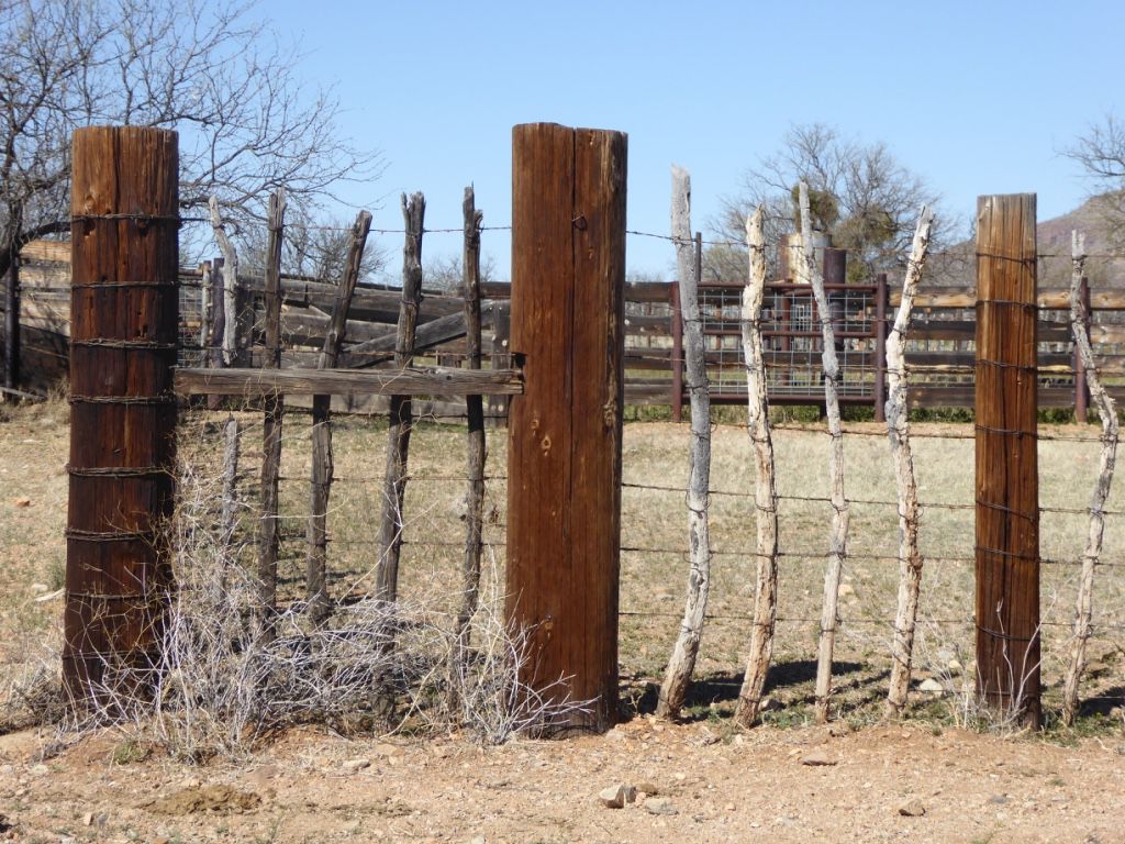 Sonoita