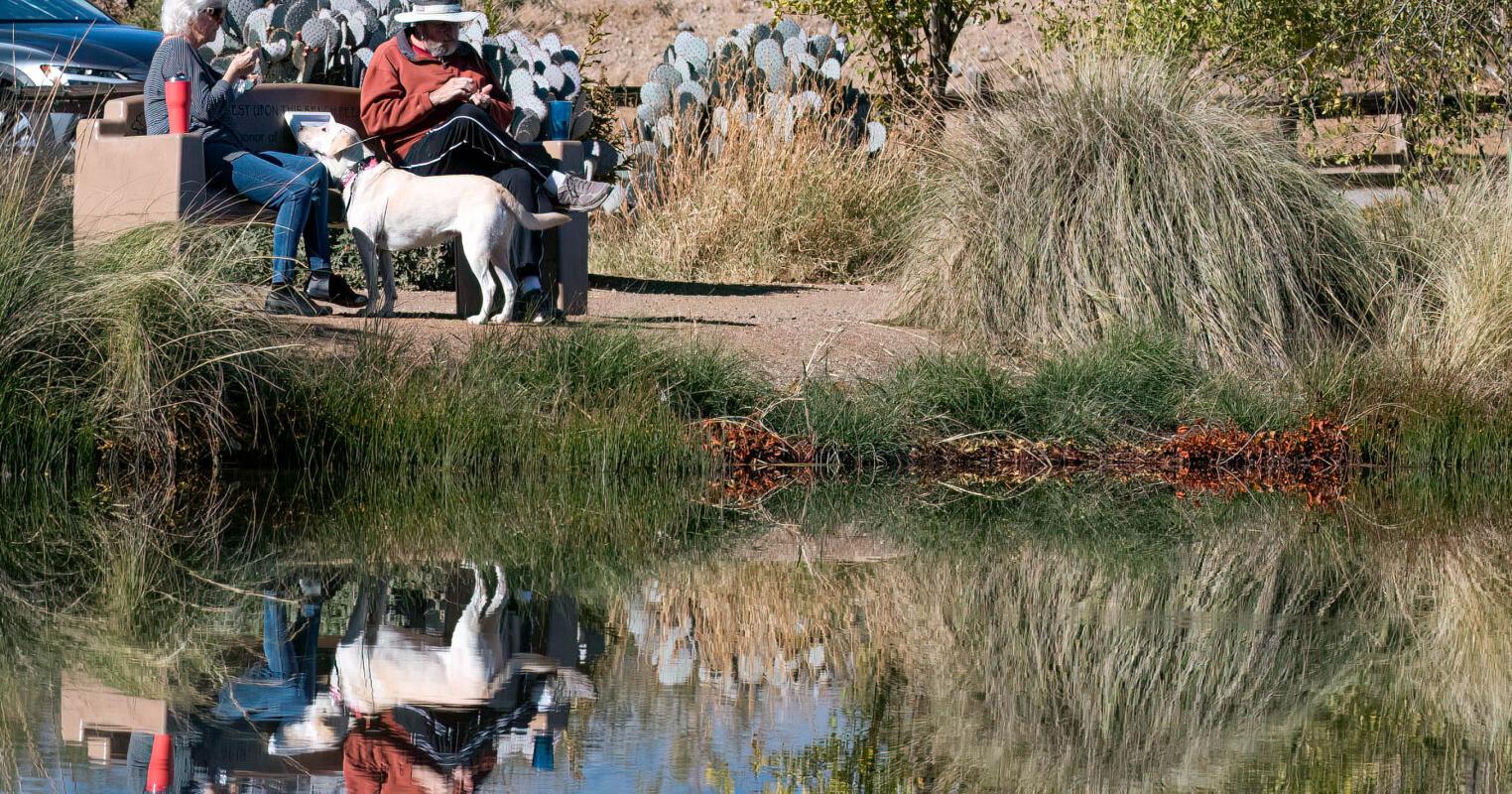 County creating conservation department - Vimarsana News
