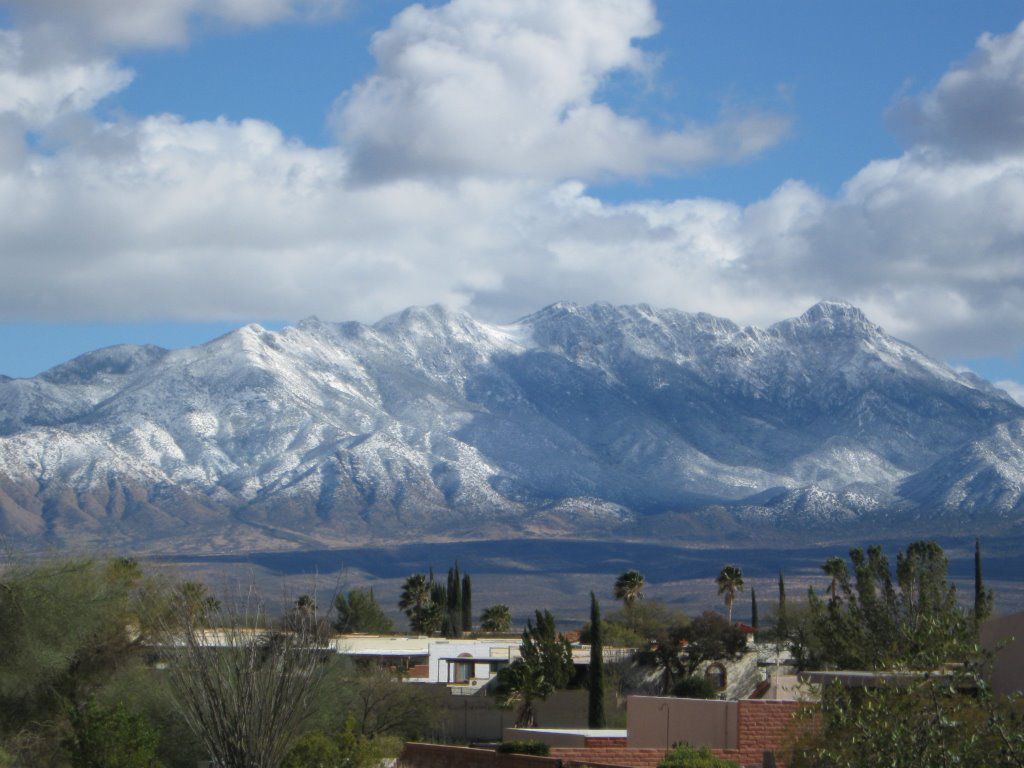 Winter in the Santa Ritas