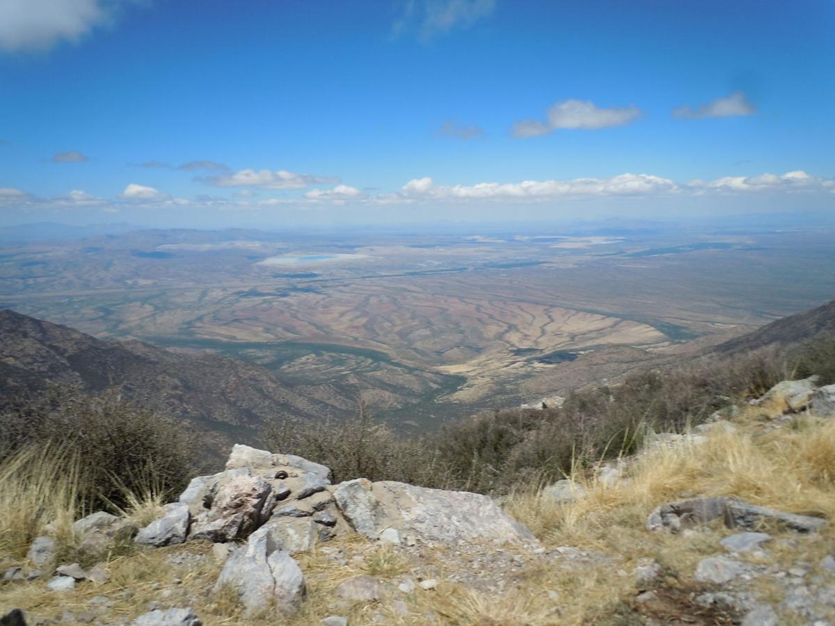 Green Valley from Mount Wrightson