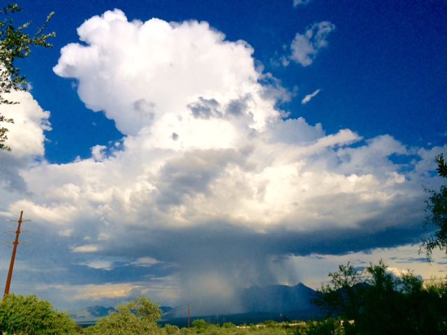 Thunderhead