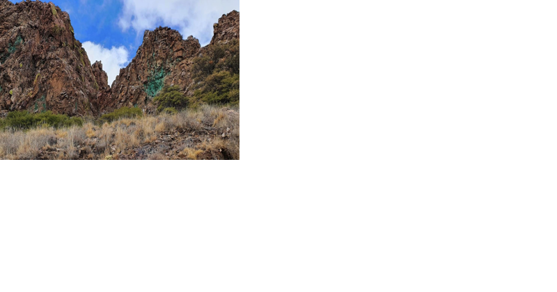 Local nonprofit answers questions, offers tips on how to 'Save The Scenic Santa Ritas' - Vimarsana News