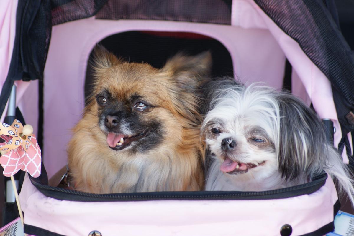 Out for a ride