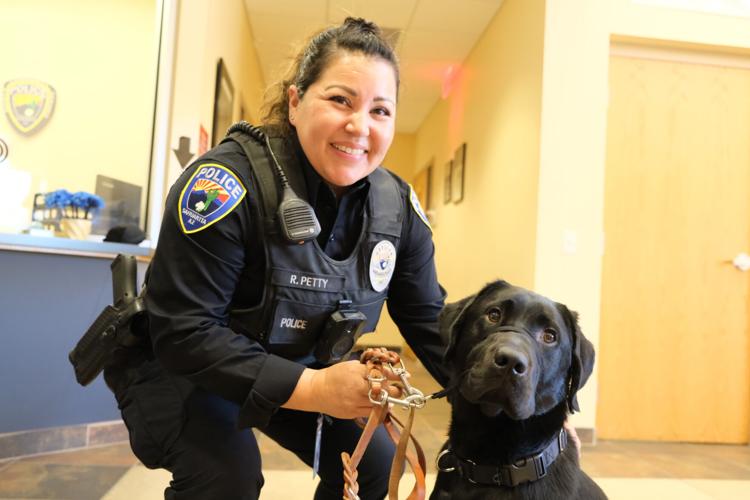 Pawfficer' reporting for duty: Adorable kitten joins ranks at Arkansas police  department