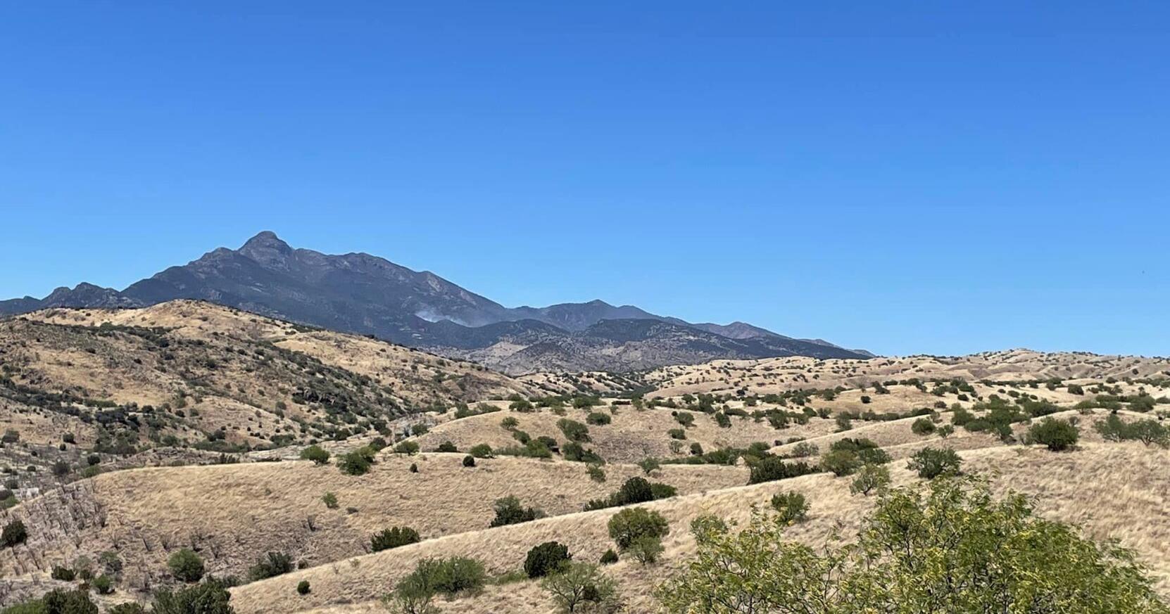 Hiker falls to his death on Mt. Wrightson - Vimarsana News