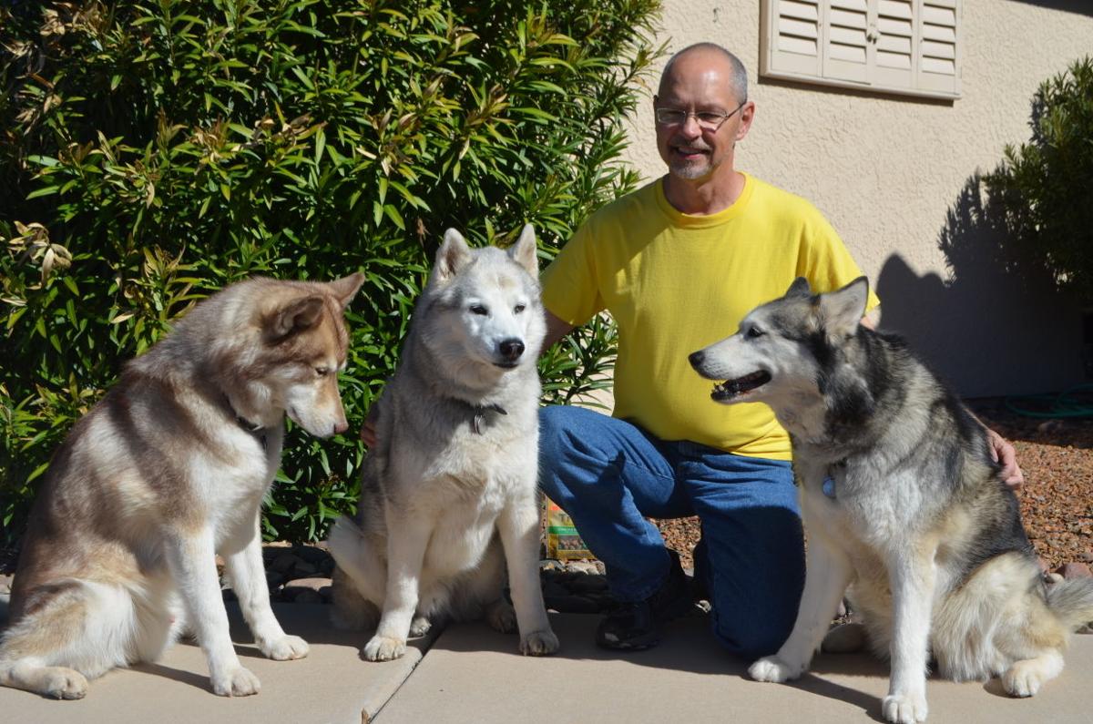 Dog Lovers V Kennel Club Dog Lovers V Kennel Club