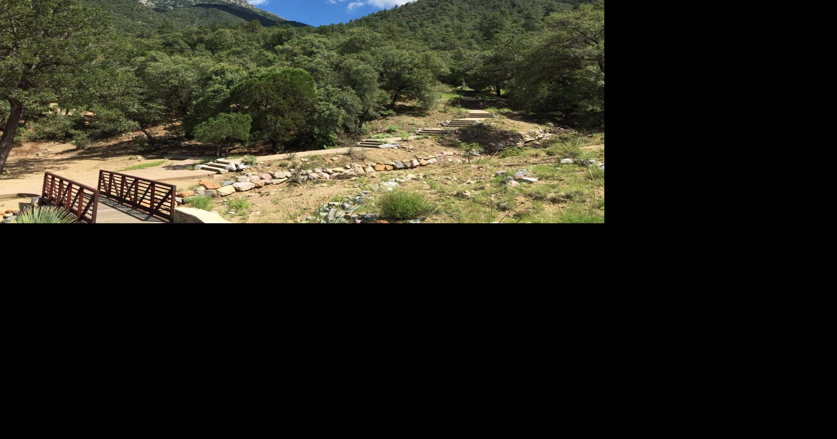 Lightning strikes near hikers on Mt. Wrightson Local News Stories