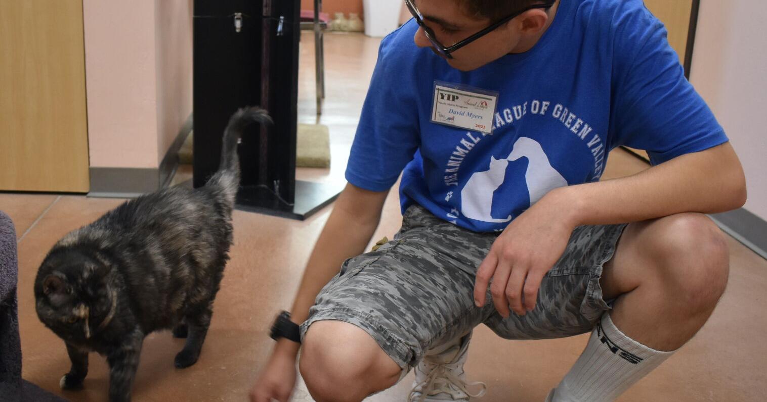 Animal League seeks home for senior animals - Vimarsana News