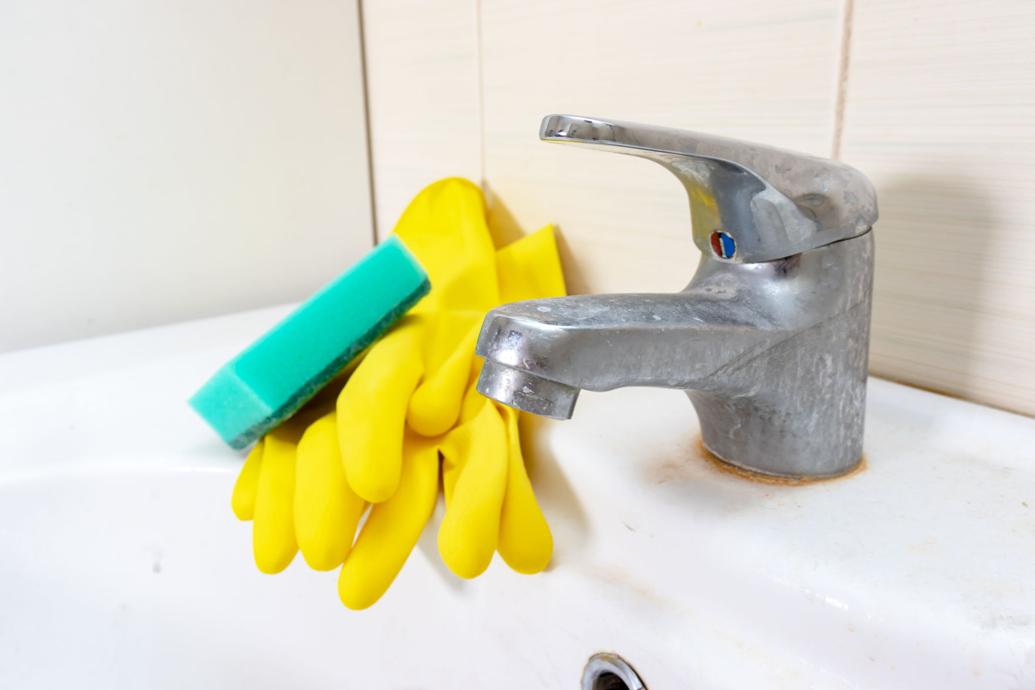 Rosie on the House With some elbow grease, faucets can sparkle Get