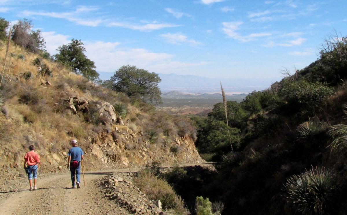 Hiking down