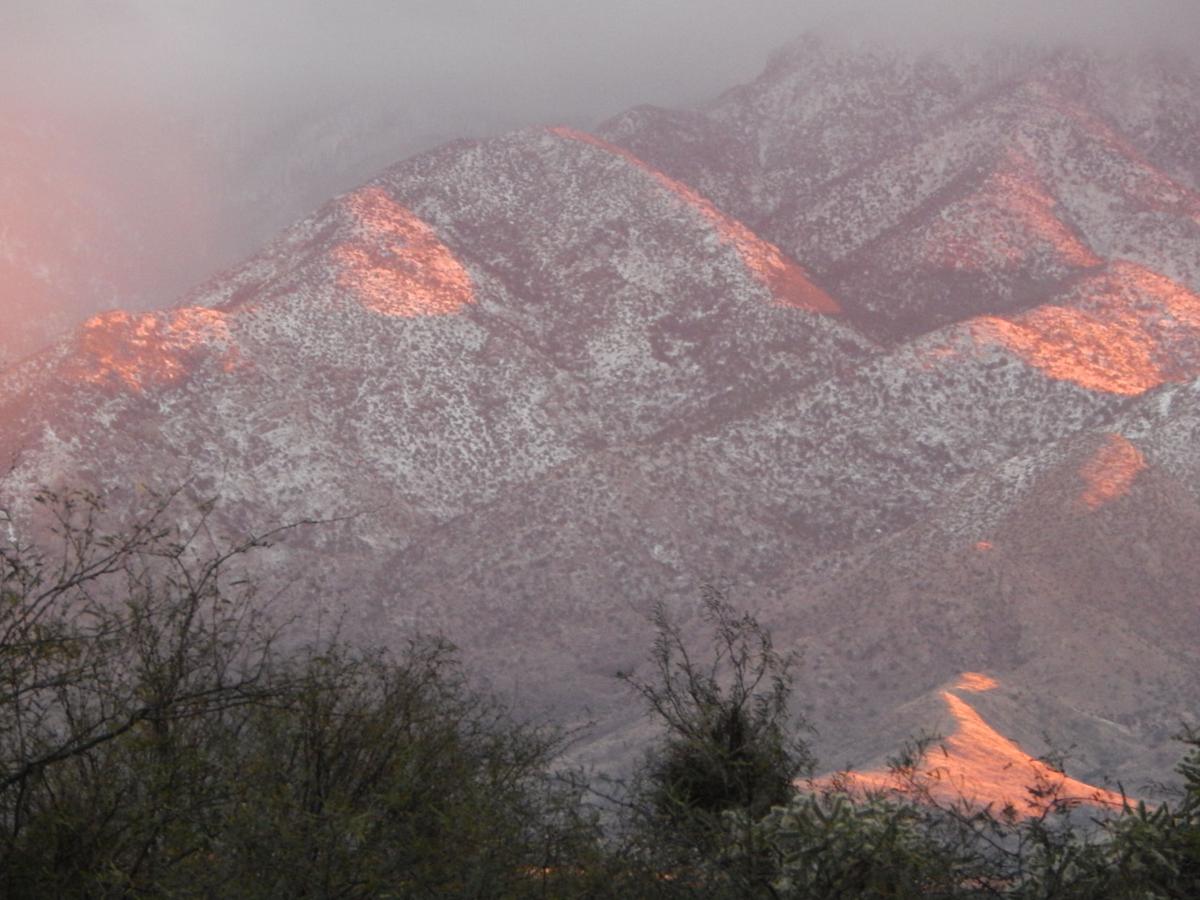 Snow dust on Santa Ritas