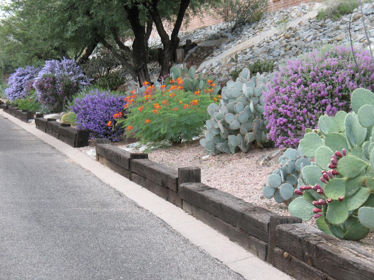 Canoa Ridge Street